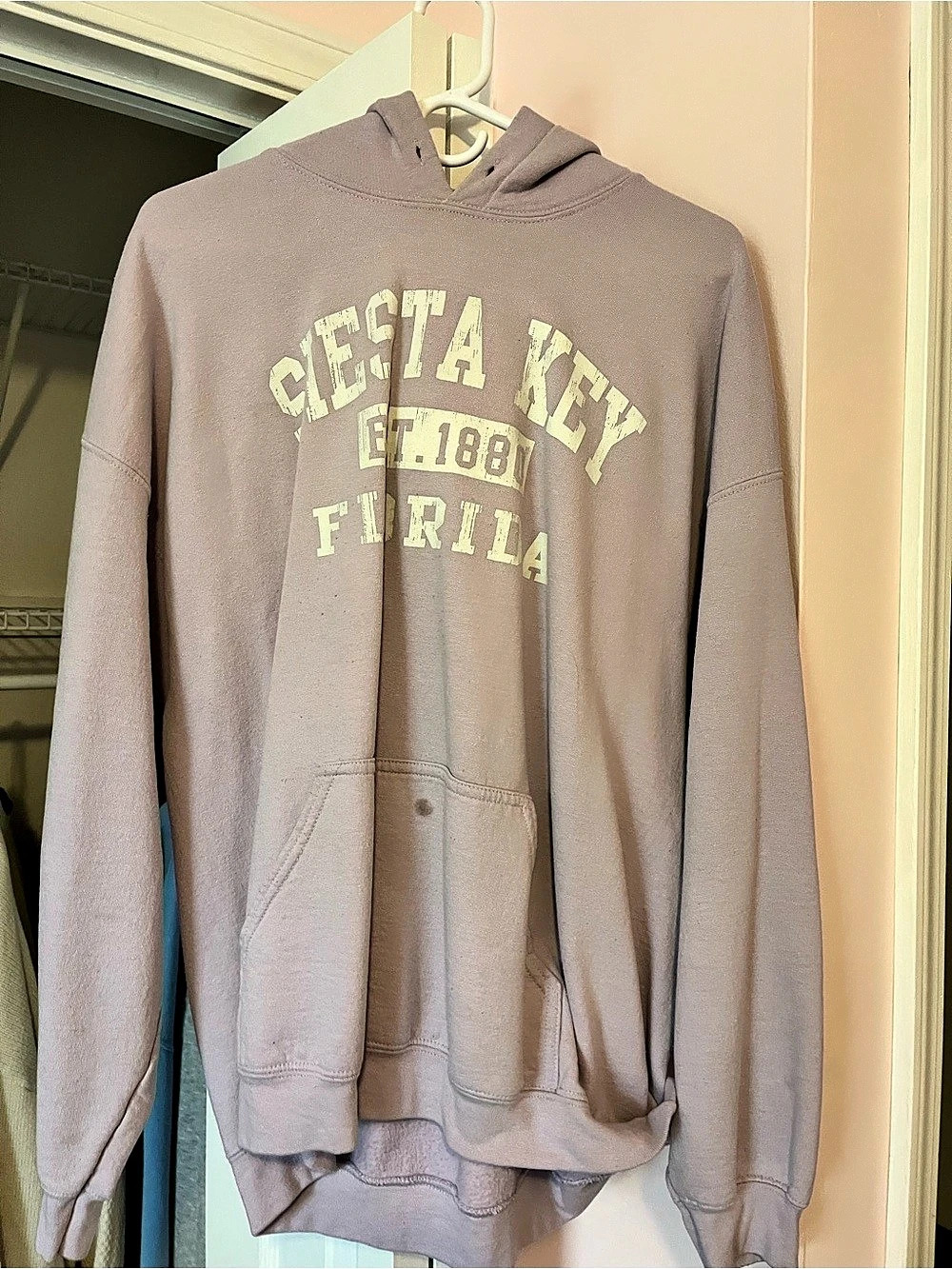 Graphic Pullover Hoodie in Purple